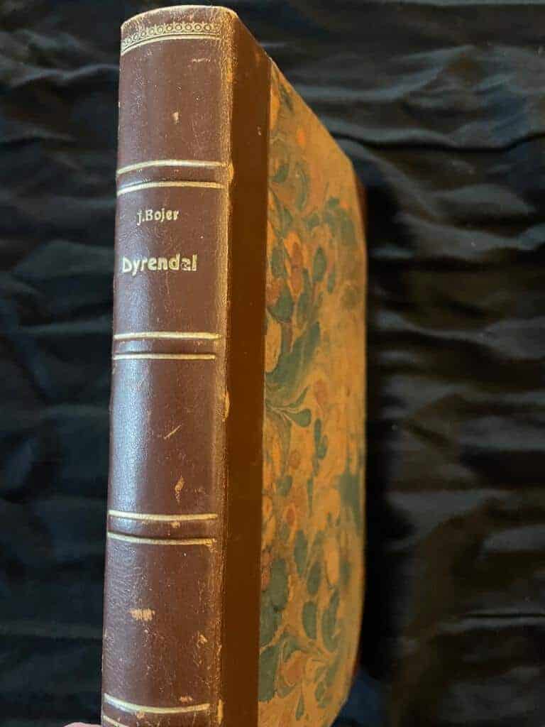 Johan Bojer : Dyrendal