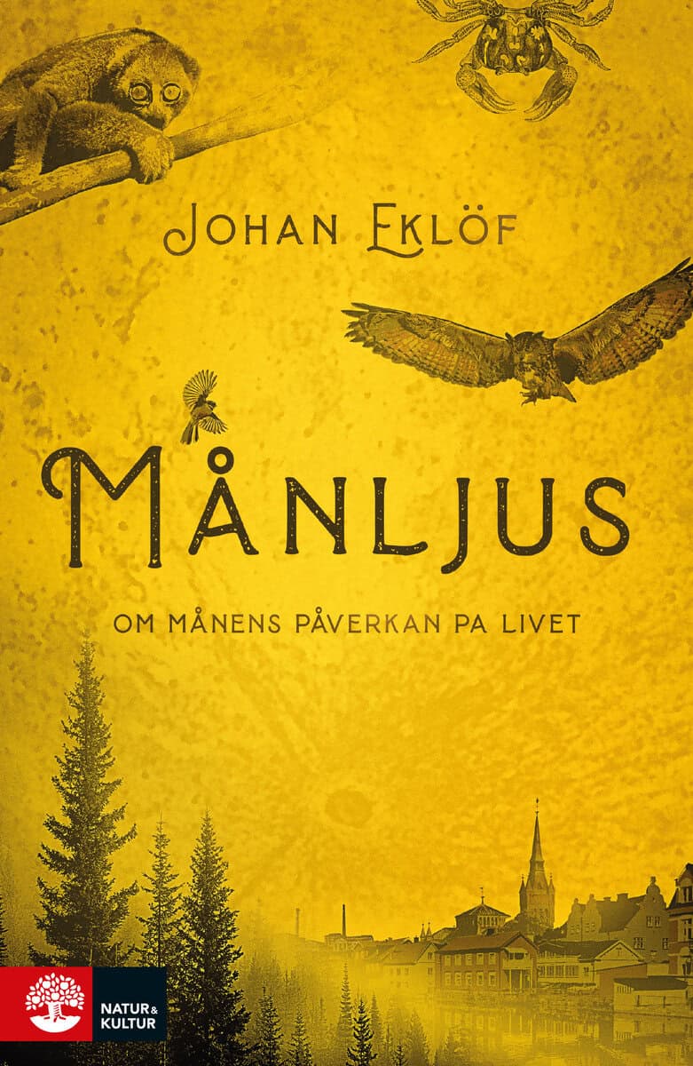 Johan Eklöf : Månljus