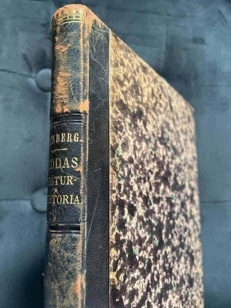 Johan Gustaf Hjalmar Kinberg : Eddas naturhistoria. Inbjudningsskrift vid öppnandet af Kongl. Veterinär-Institutets nya byggnader i Stockholm tisdagen den 21 september 1880 kl. 2 e. m.