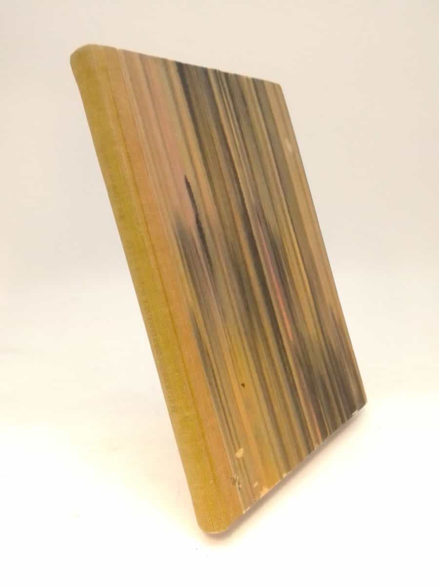 Johan Hagner : Sett från Livingstonebergen