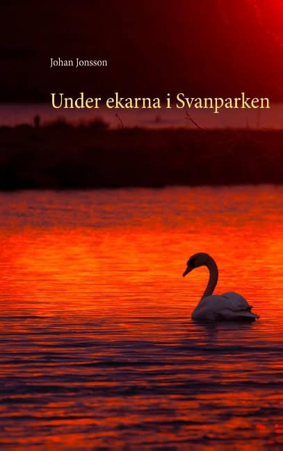 Johan Jonsson : Under ekarna i Svanparken