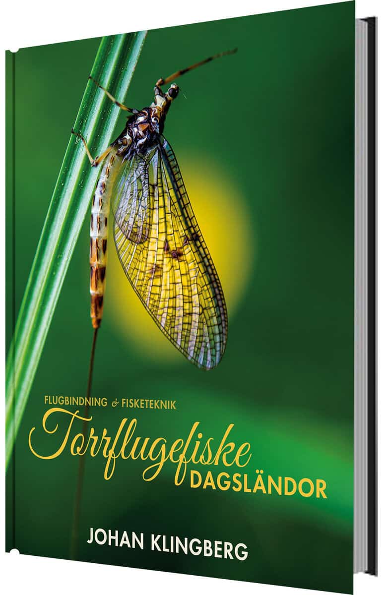 Johan Klingberg : Torrflugefiske : dagsländor