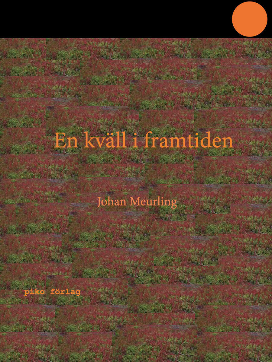 Johan Meurling : En kväll i framtiden