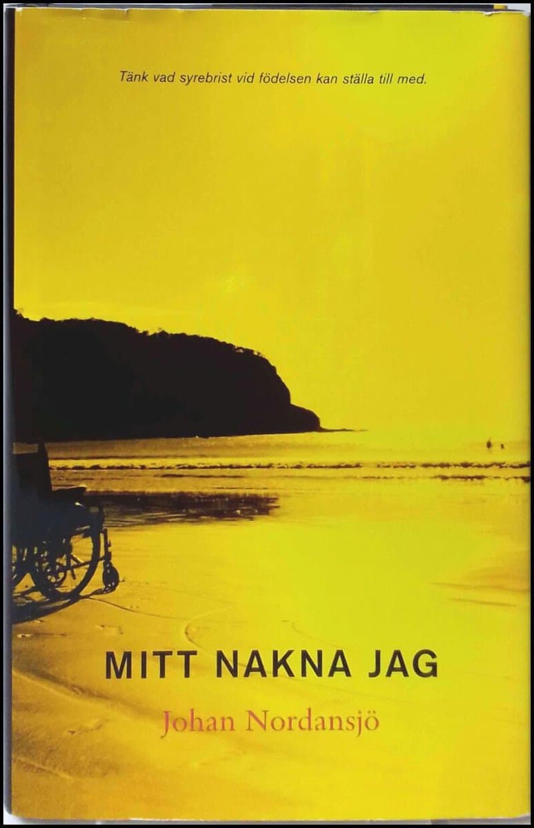 Johan Nordansjö : Mitt nakna jag