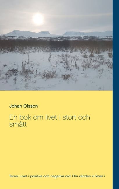 Johan Olsson : En bok om livet i stort och smått