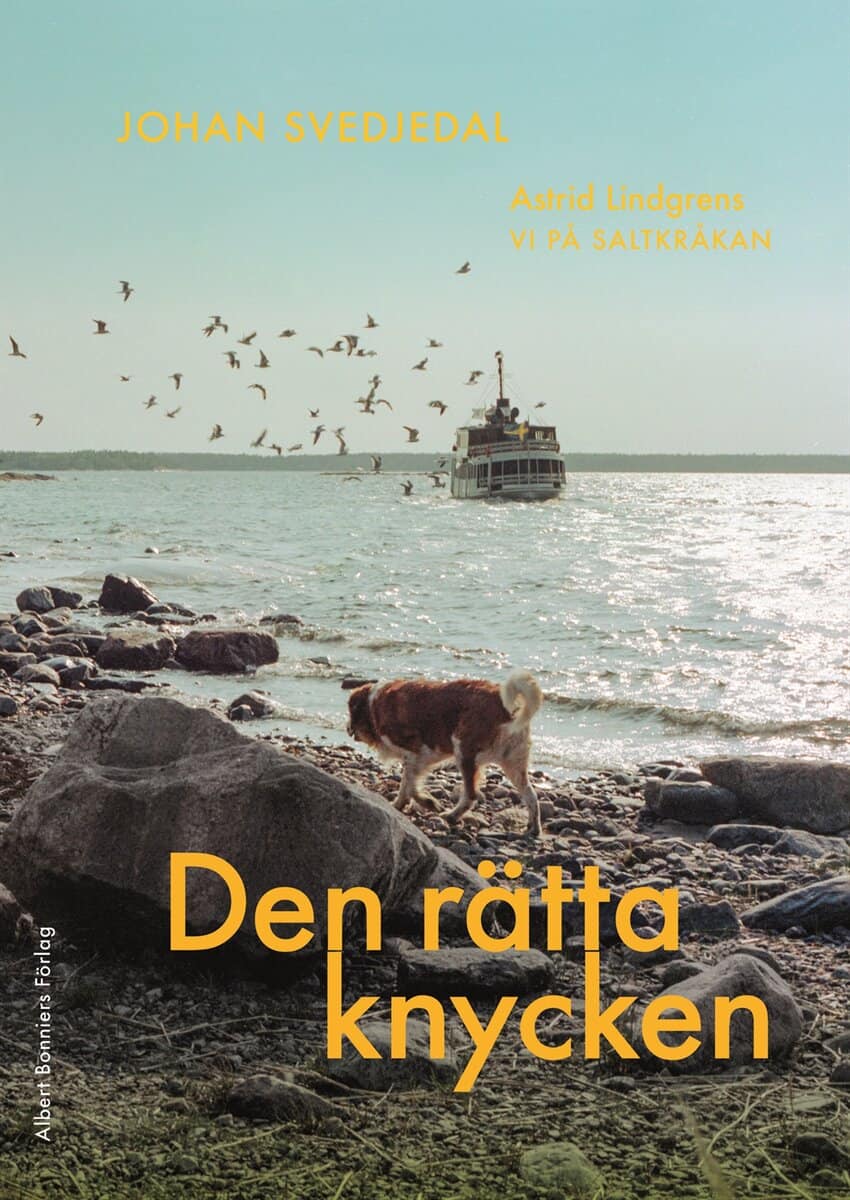 Johan Svedjedal : Den rätta knycken : Astrid Lindgrens Vi på Saltkråkan