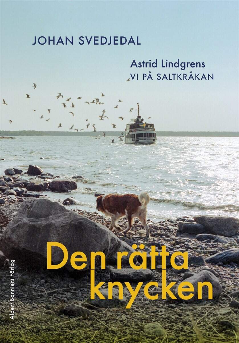 Johan Svedjedal : Den rätta knycken : Astrid Lindgrens Vi på Saltkråkan