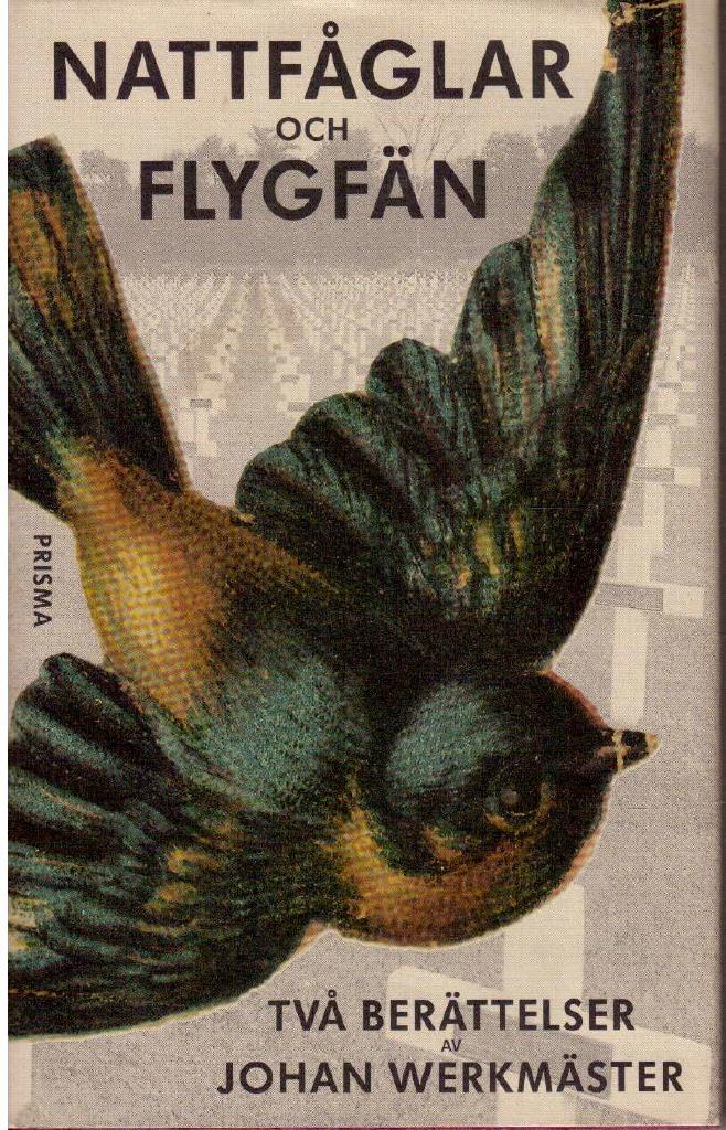 Johan Werkmäster : Nattfåglar och flygfän