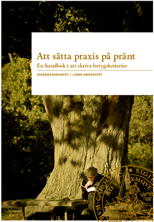 Johanna Bergqvist : Att sätta praxis på pränt