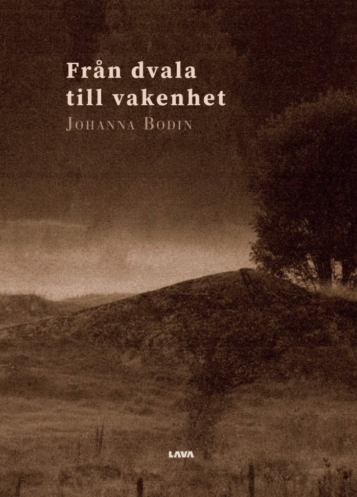 Johanna Bodin : Från dvala till vakenhet