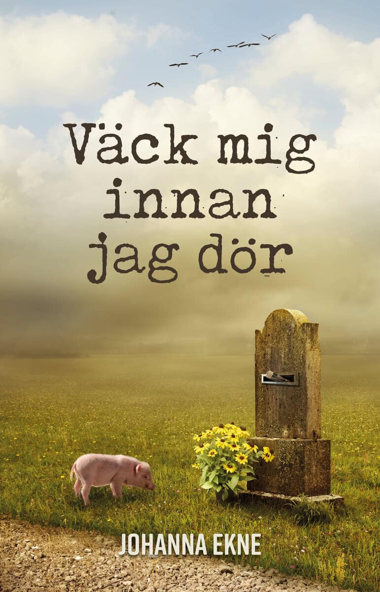 Johanna Ekne : Väck mig innan jag dör