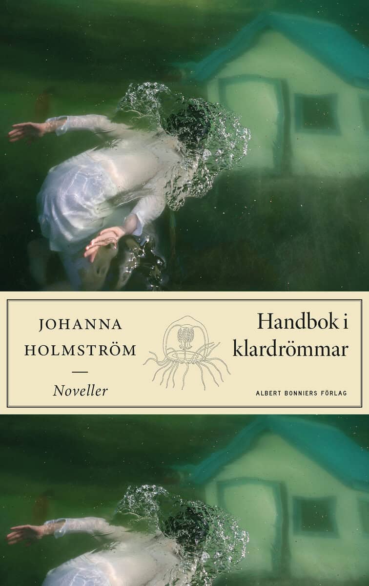 Johanna Holmström : Handbok i klardrömmar