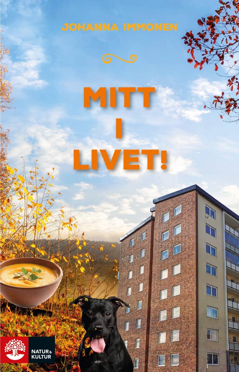 Johanna Immonen : Mitt i livet