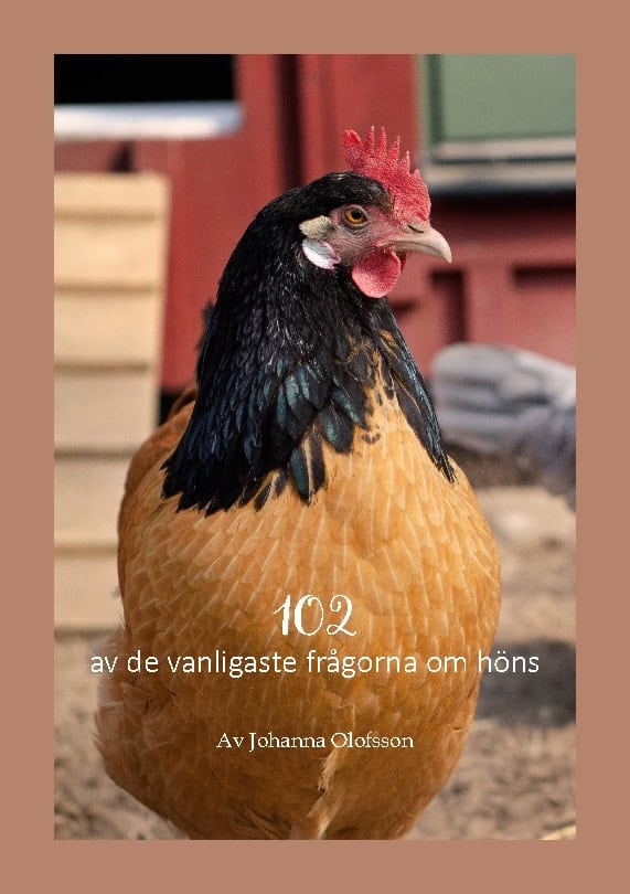 Johanna Olofsson : 102 av de vanligaste frågorna om höns