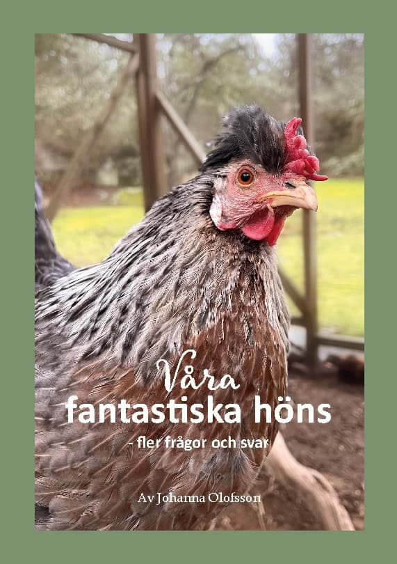 Johanna Olofsson : Våra fantastiska höns