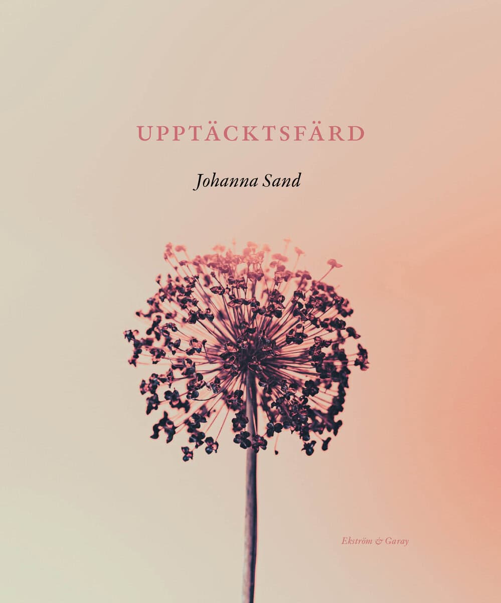 Johanna Sand : Upptäcktsfärd
