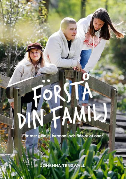 Johanna Tengwall : Förstå din Familj : för mer glädje, harmoni och trygga relationer