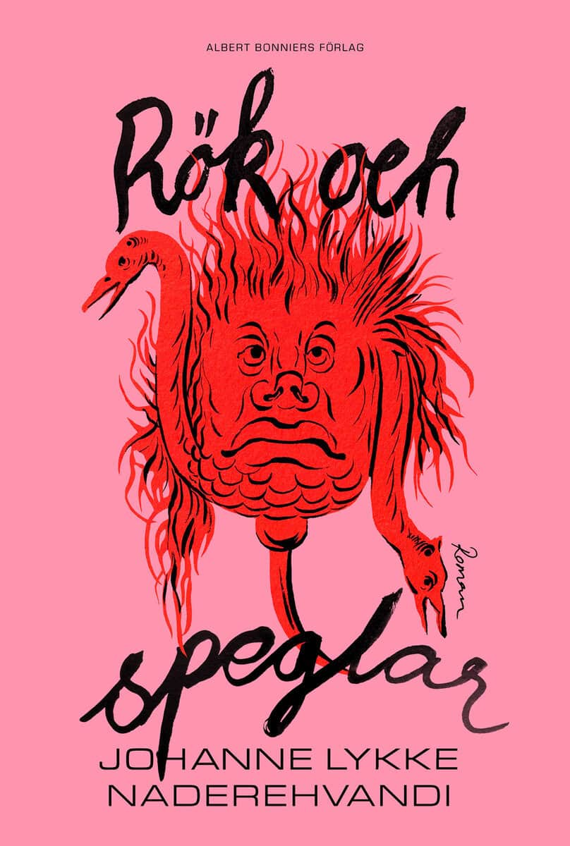 Johanne Lykke Naderehvandi : Rök och speglar