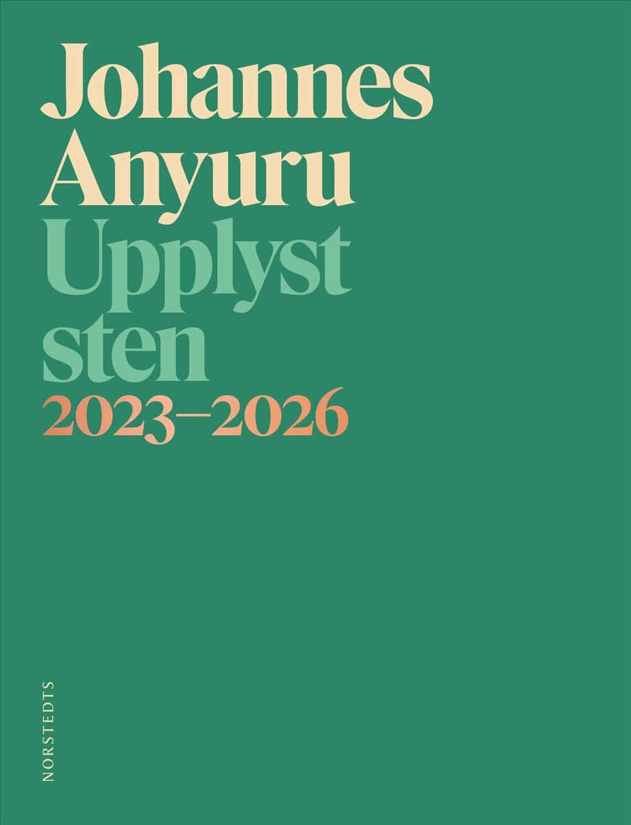 Johannes Anyuru : Upplyst sten