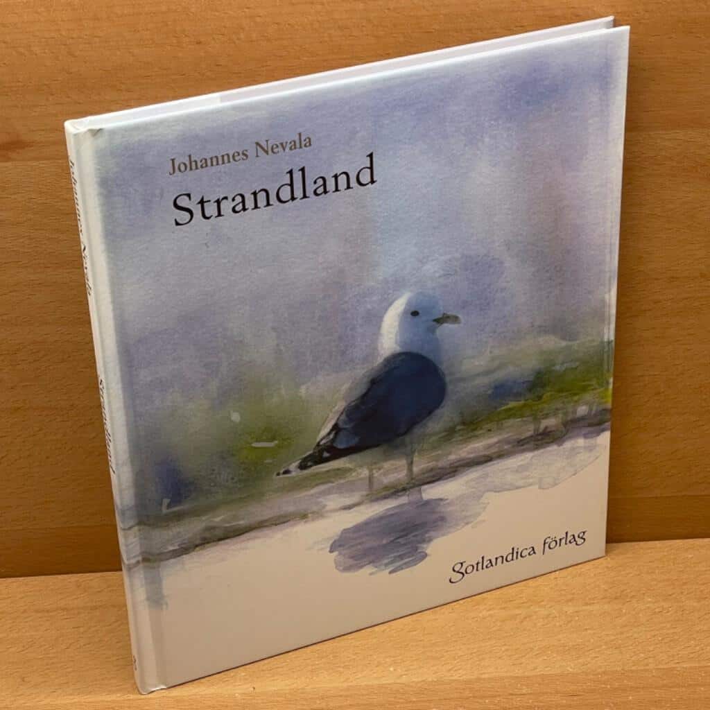 Johannes Nevala : Strandland