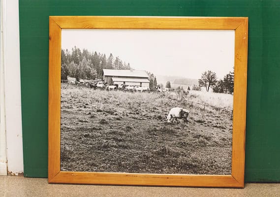 Johannes Samuelsson : Robertsforsgruppen