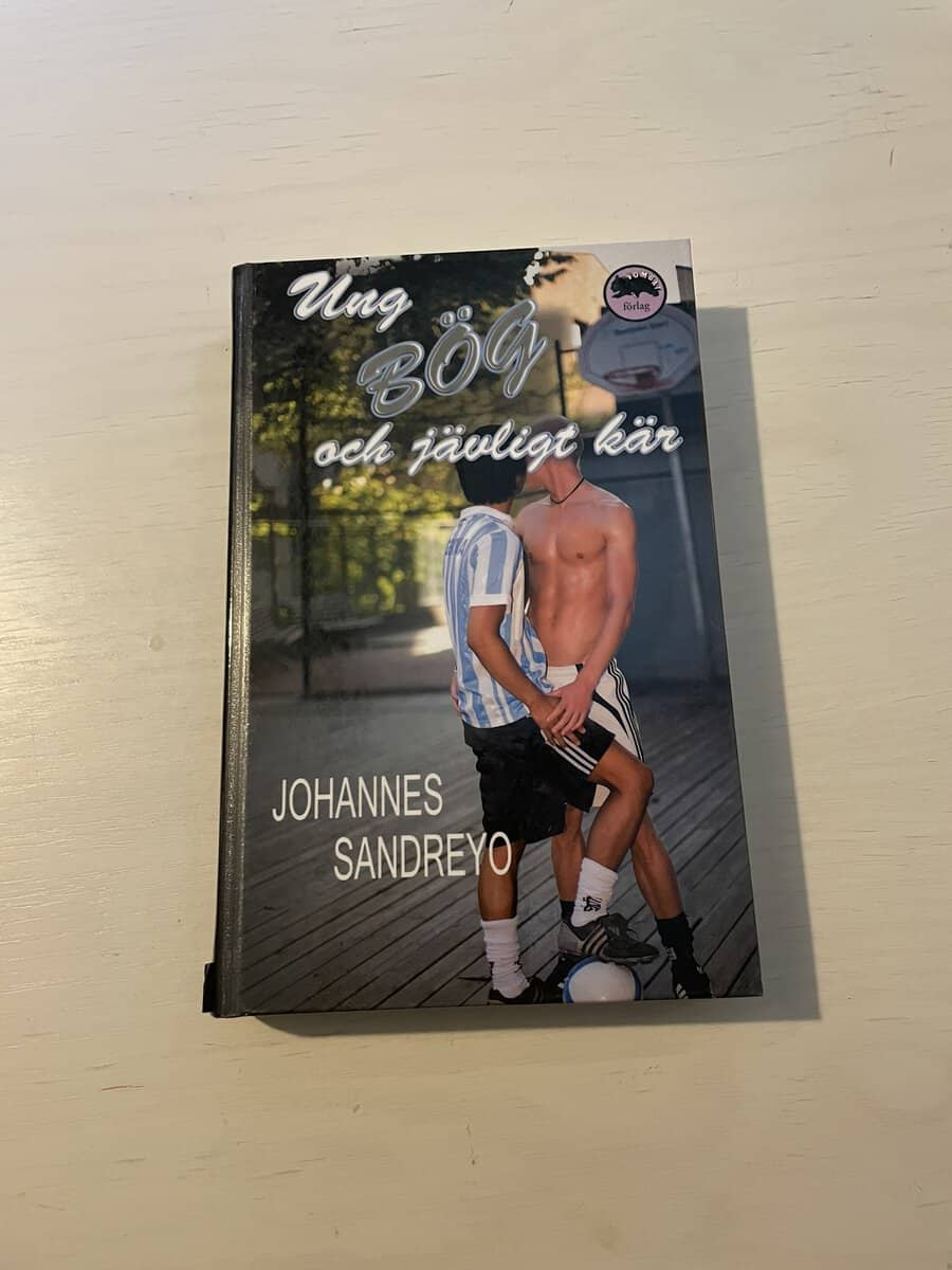 Johannes Sandreyo : Ung, bög och jävligt kär
