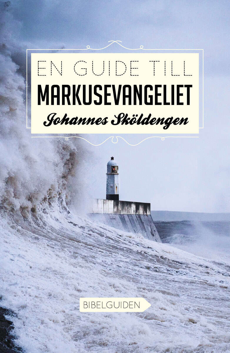 Johannes Sköldengen : En guide till Markusevangeliet