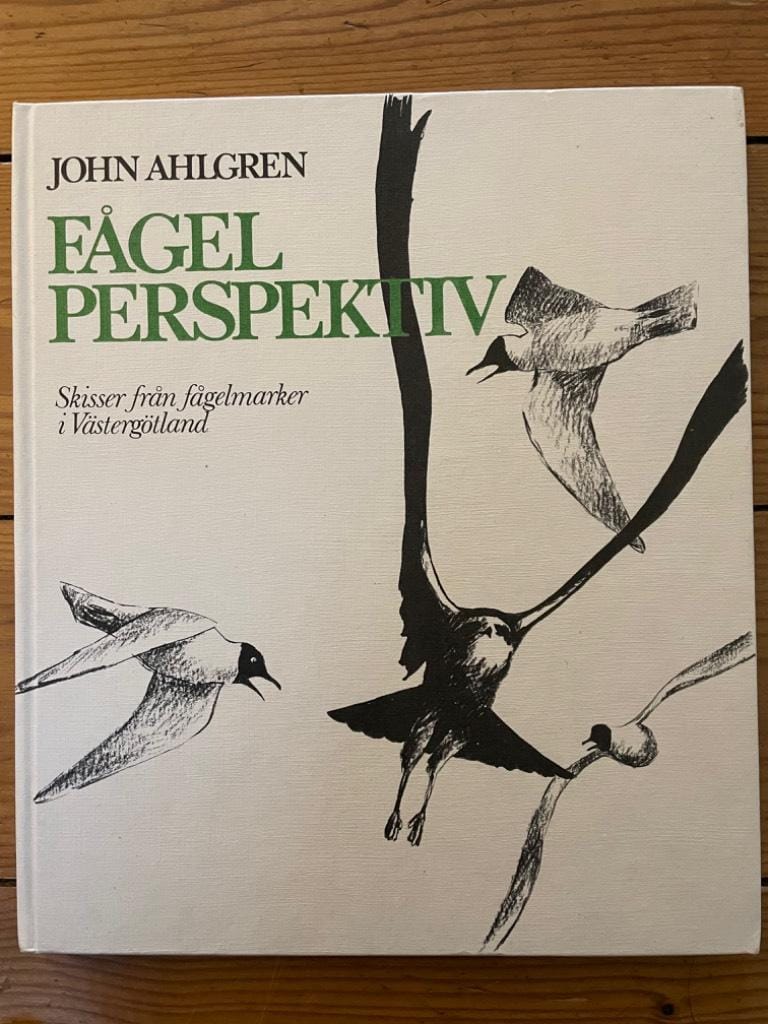 John Ahlgren : Fågelperspektiv