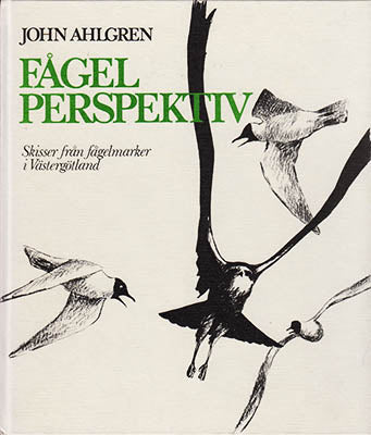 John Ahlgren : Fågelperspektiv