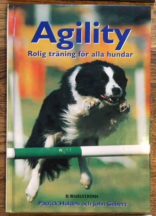 John Gilbert ; Patrick Holden : Agility