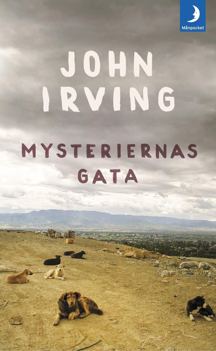 John Irving : Mysteriernas gata