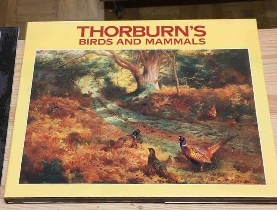 John Southern : Thorburn's Birds and Mammals