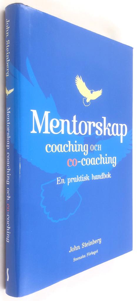 John Steinberg : Mentorskap, coaching och co-coaching