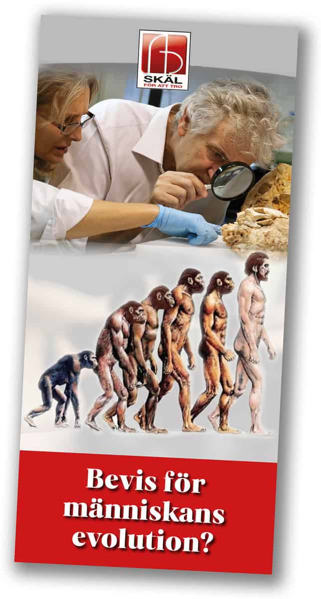 Johnny Bergman : Bevis för människans evolution?