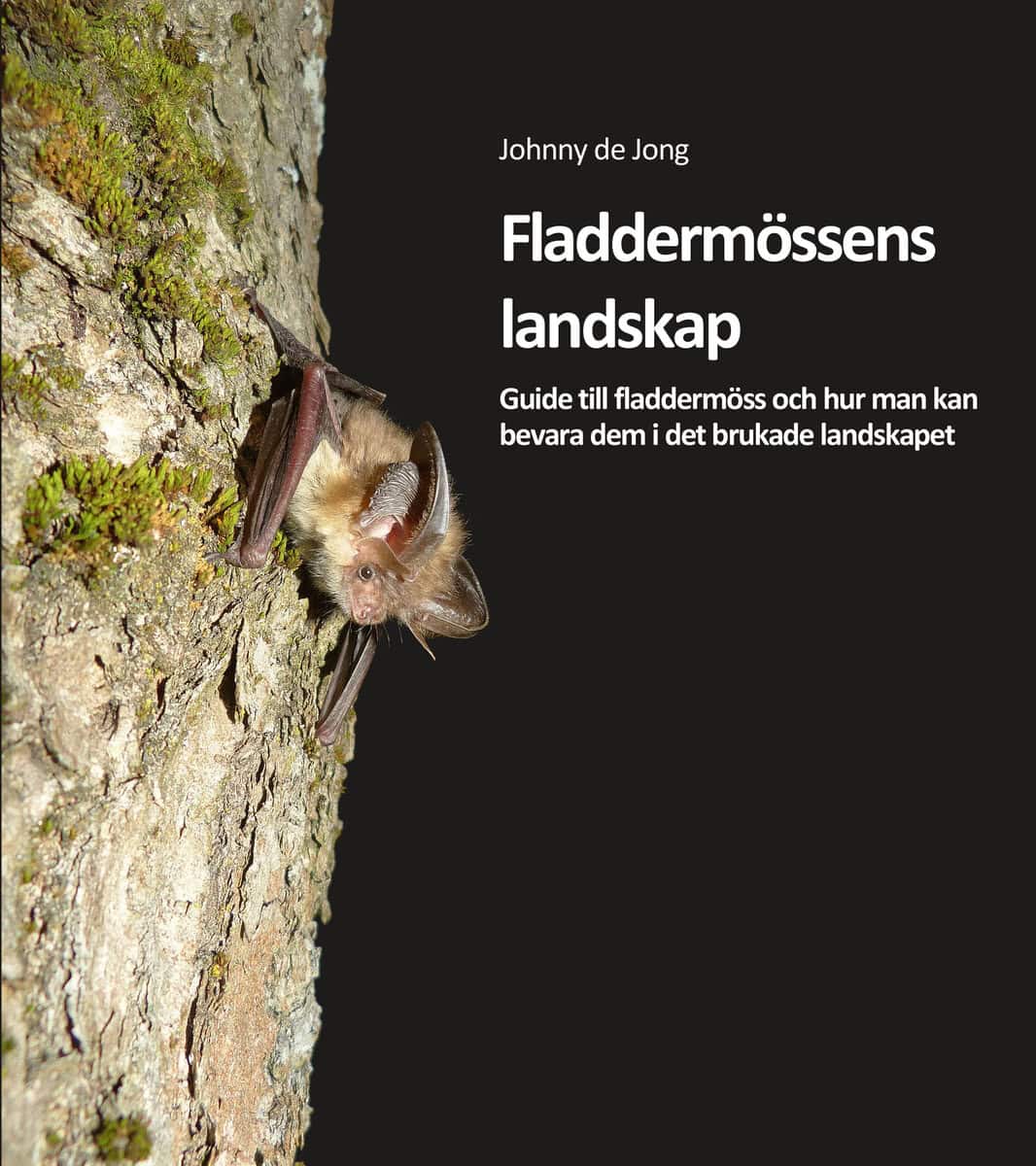 Johnny de Jong : Fladdermössens landskap