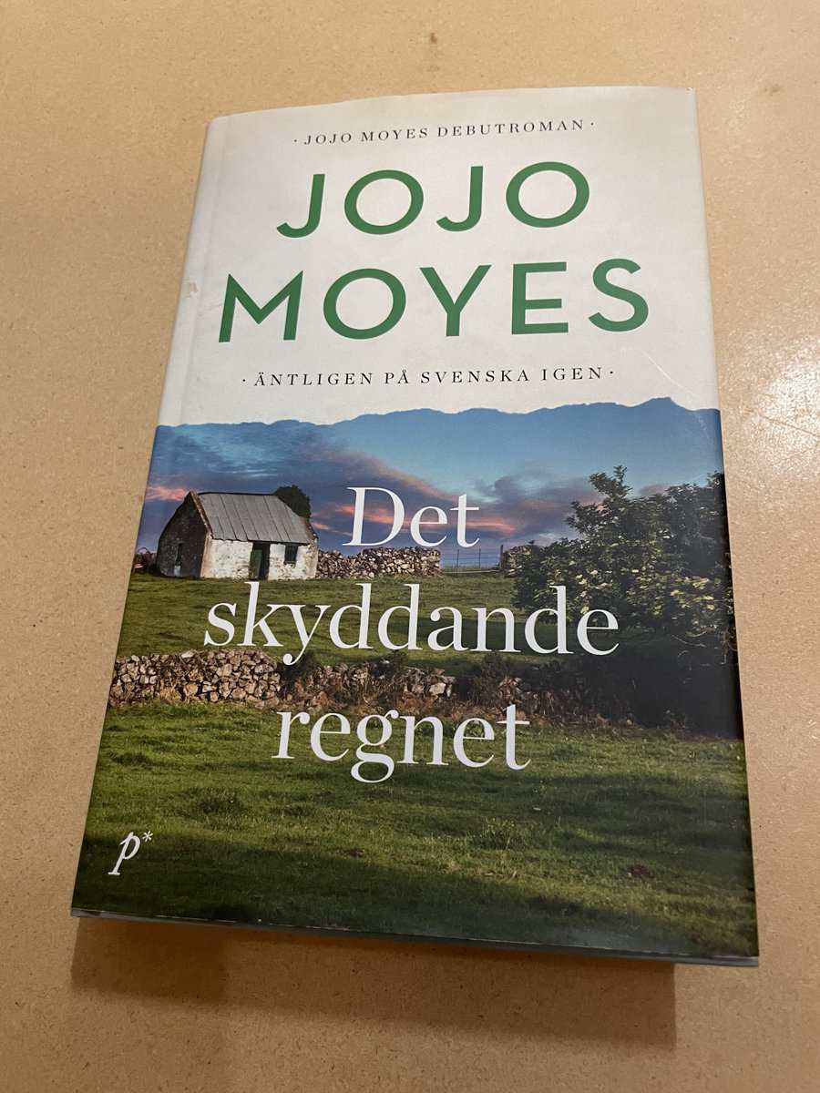 Jojo Moyes : Det skyddande regnet