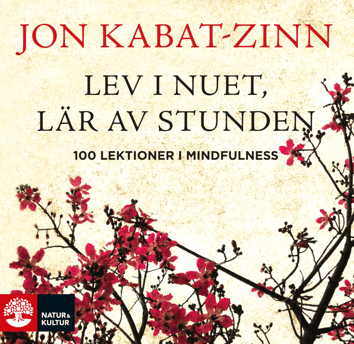 Jon Kabat-Zinn : Lev i nuet, lär av stunden : 100 lektioner i mindfulness