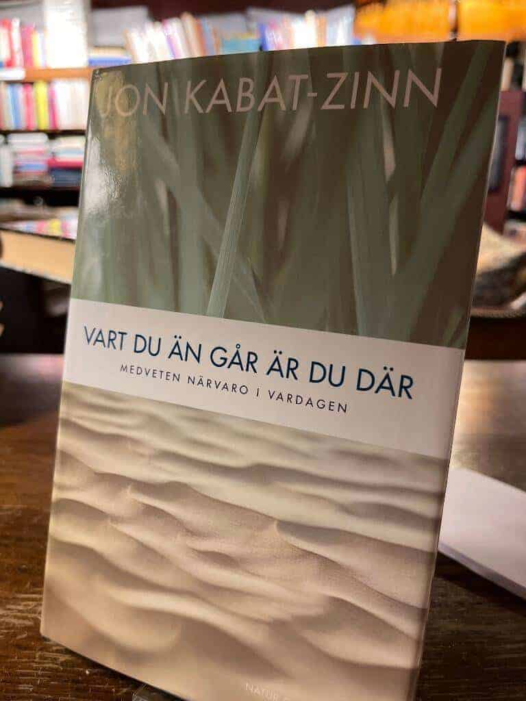 Jon Kabat-Zinn : Vart du än går är du där