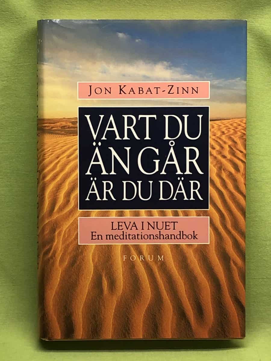 Jon Kabat-Zinn : Vart du än går är du där