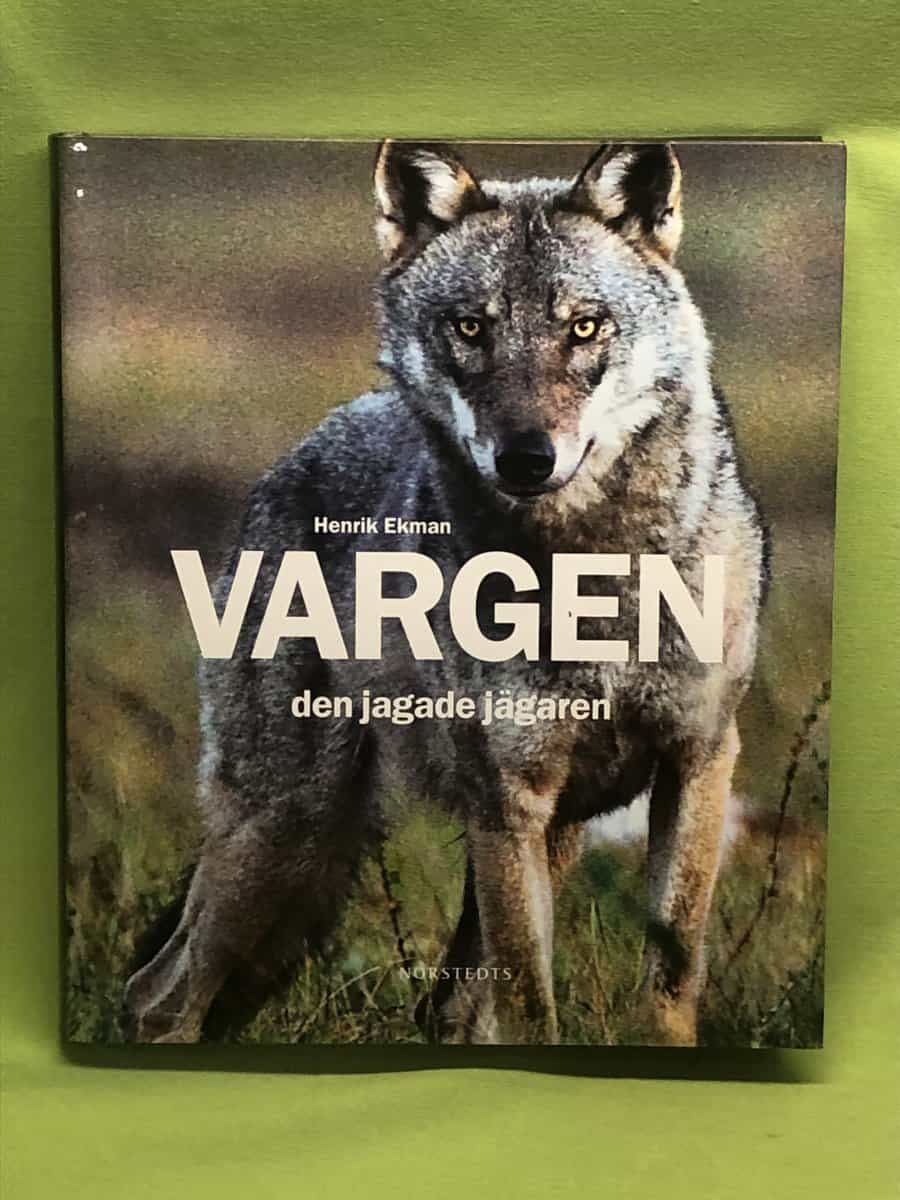 Jón Kalman Stefánsson : Änglarnas sorg