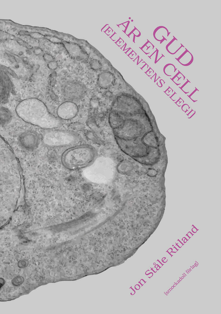 Jon Ståle Ritland : Gud är en cell (Elementens elegi)