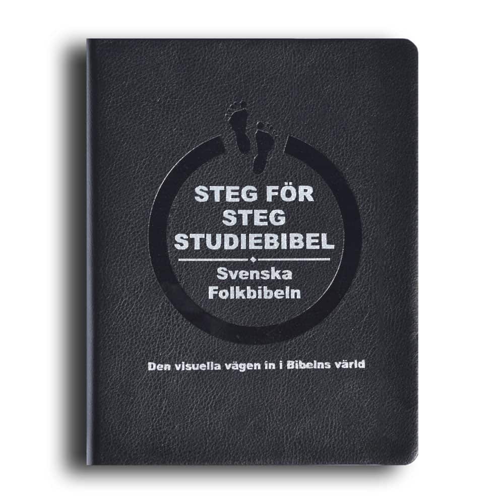 Jonas Dagson : Steg för steg Studiebibel