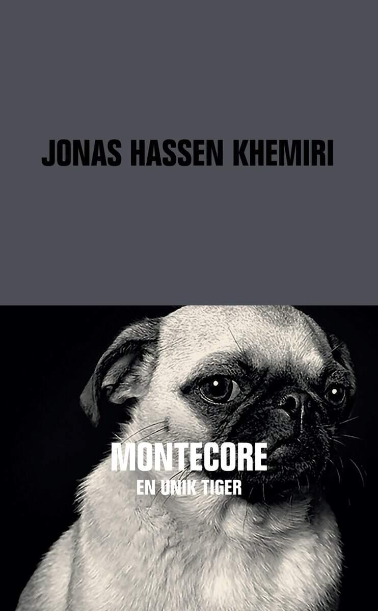 Jonas Hassen Khemiri : Montecore