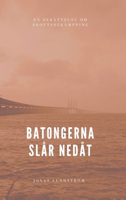 Jonas Lundström : Batongerna slår nedåt : en berättelse om brottsbekämpning