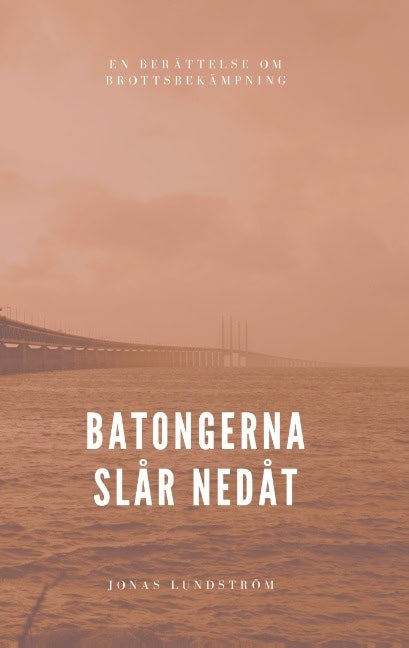 Jonas Lundström : Batongerna slår nedåt : en berättelse om brottsbekämpning