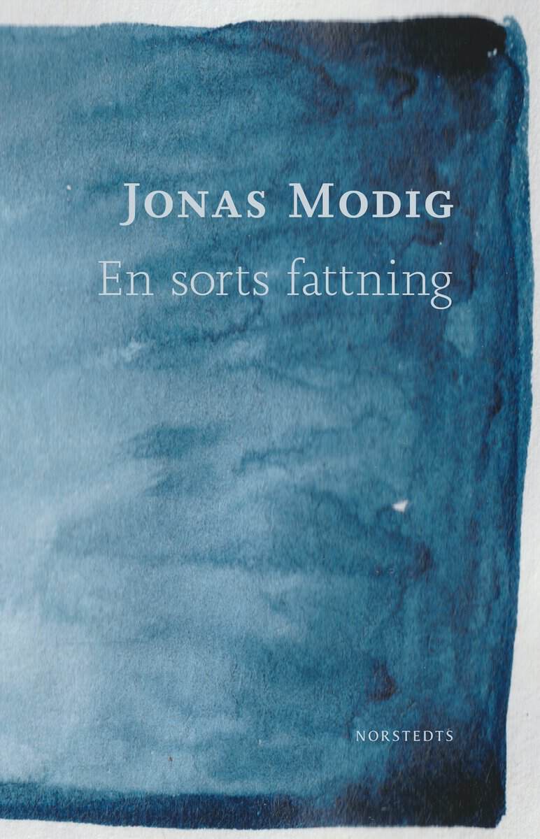 Jonas Modig : En sorts fattning