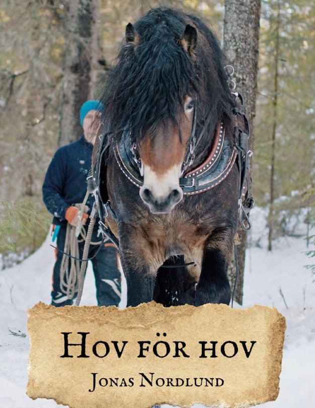 Jonas Nordlund : Hov för hov