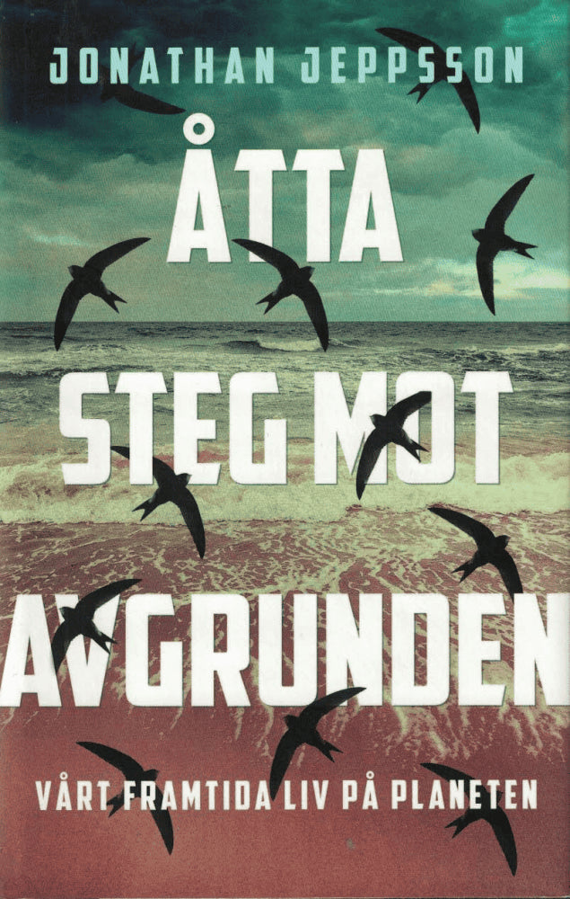 Jonathan Jeppsson : Åtta steg mot avgrunden