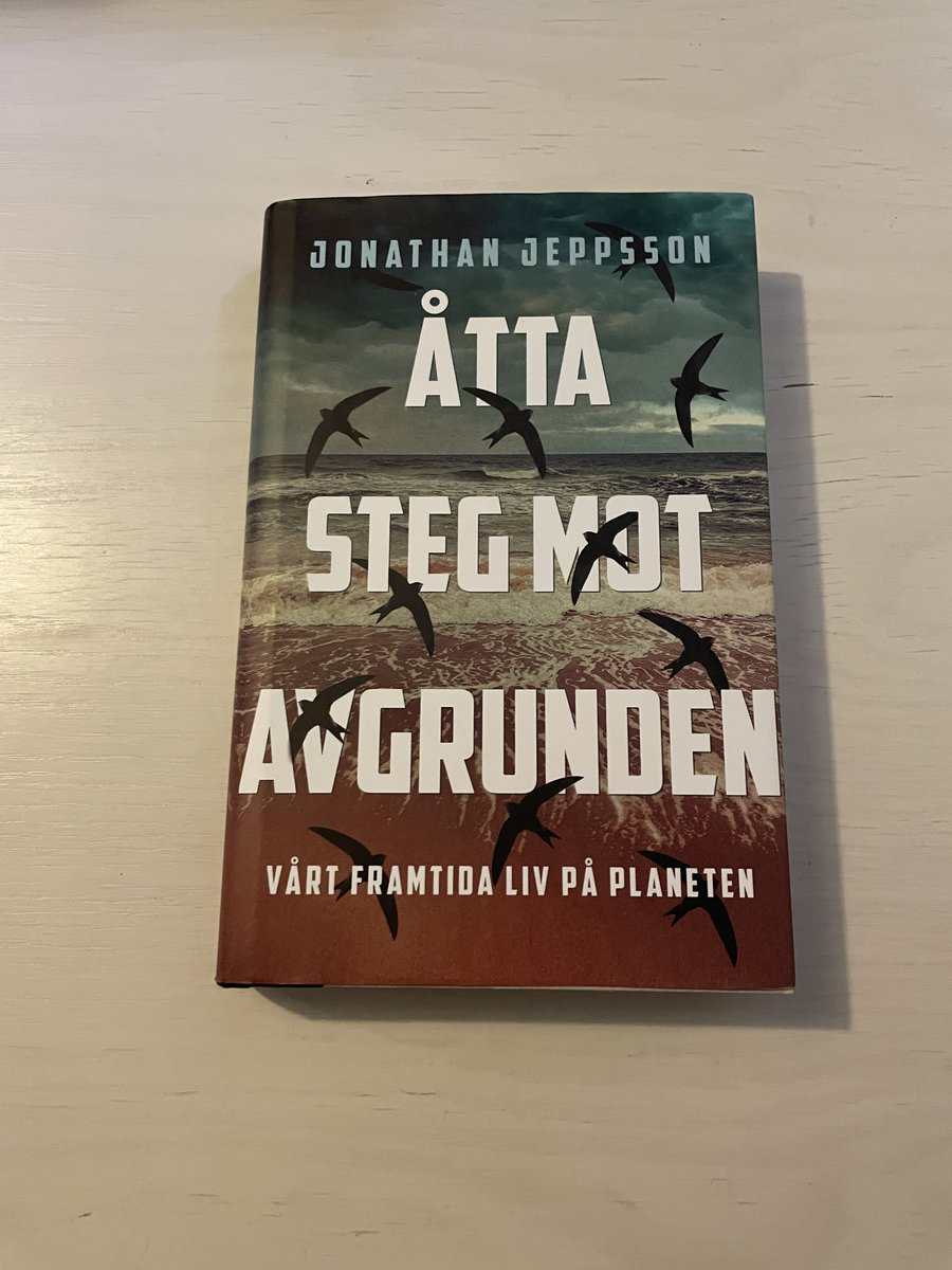 Jonathan Jeppsson : Åtta steg mot avgrunden