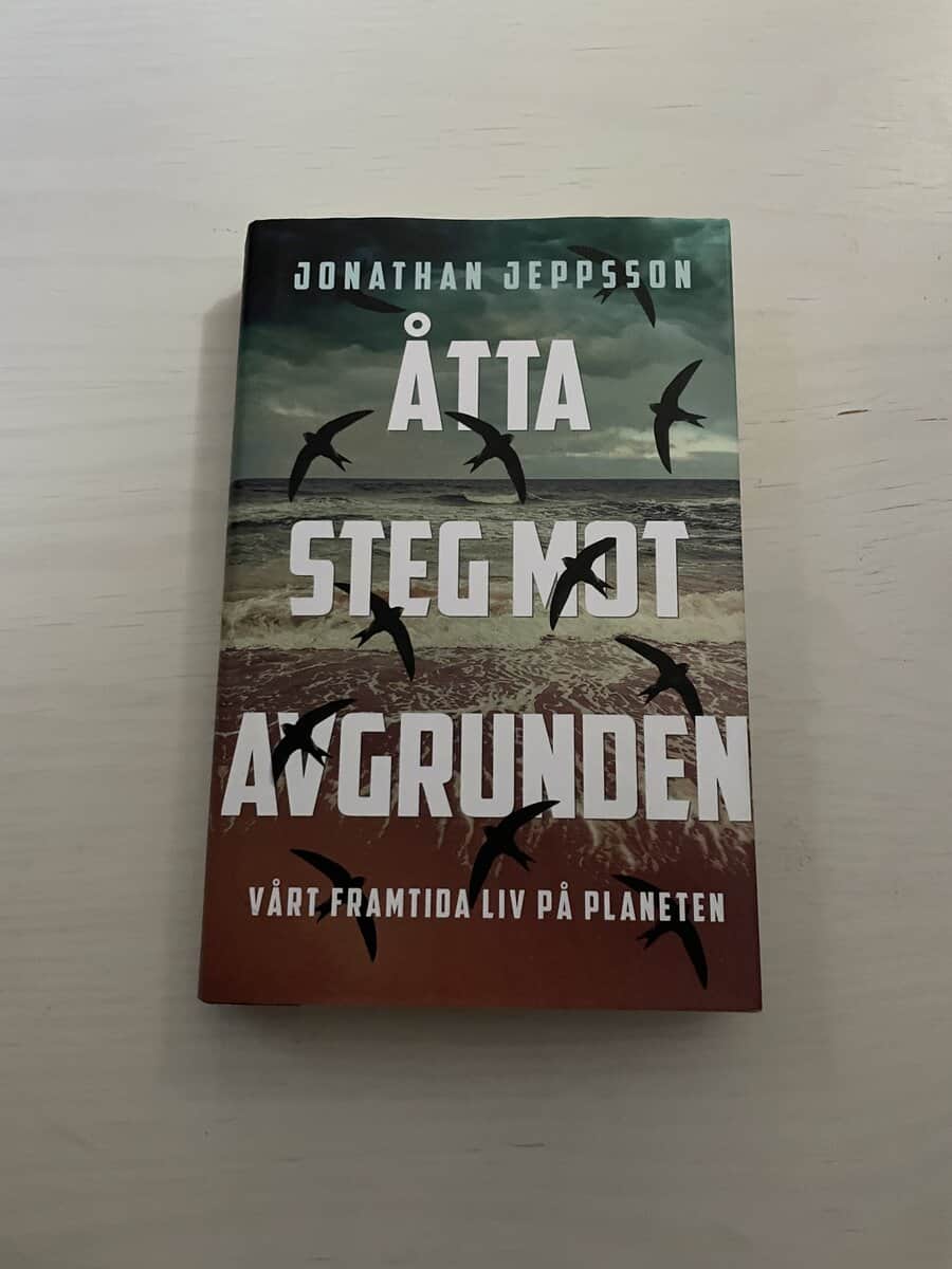 Jonathan Jeppsson : Åtta steg mot avgrunden